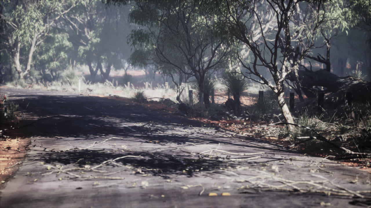 camino de la selva en el parque baluran en indonesia