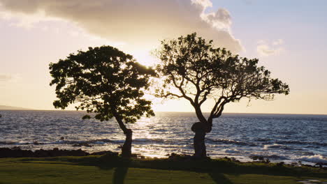 pintoresco amanecer entre dos árboles en el resort de playa de wailea en el condado de maui, hawaii, estados unidos