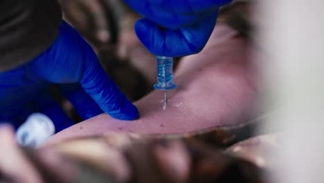 cerca un médico confiado inserta una aguja en la pierna con sus manos en guantes azules de goma para introducir una medicina especial en el cuerpo de un soldado herido en uniforme de camuflaje en el campo de batalla
