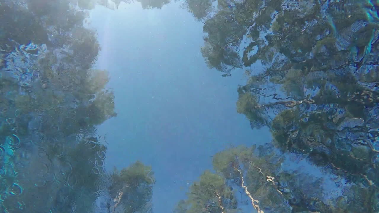 한 남자가 수영장에서 수영하고 카메라 수중 비디오 슬로우 모션을 통해 수영합니다.