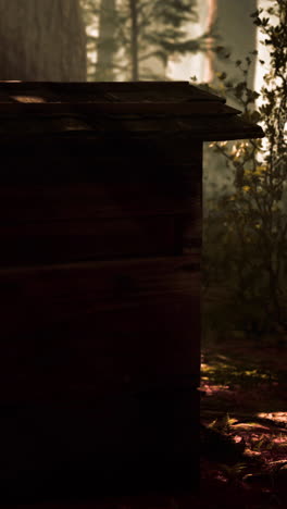 old wooden beehive in forest in fog