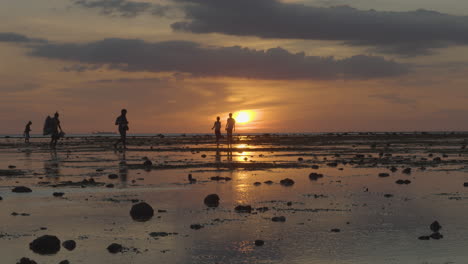 silhouette of kids catching fish and other aquatic animals in low tide beach 4k