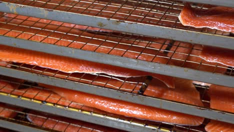 Wagon-full-of-raw-salmon-filets-resting-after-beeing-smoked---Panning-with-focus-pull