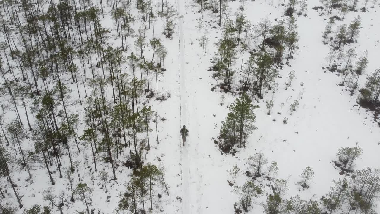 antena siguiendo a un hombre caminando en el pantano de luhasoo durante el invierno en estonia