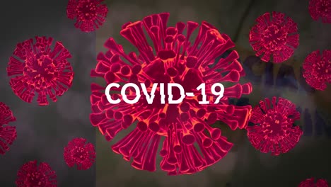 animation of covid 19 text over multiple red virus cells