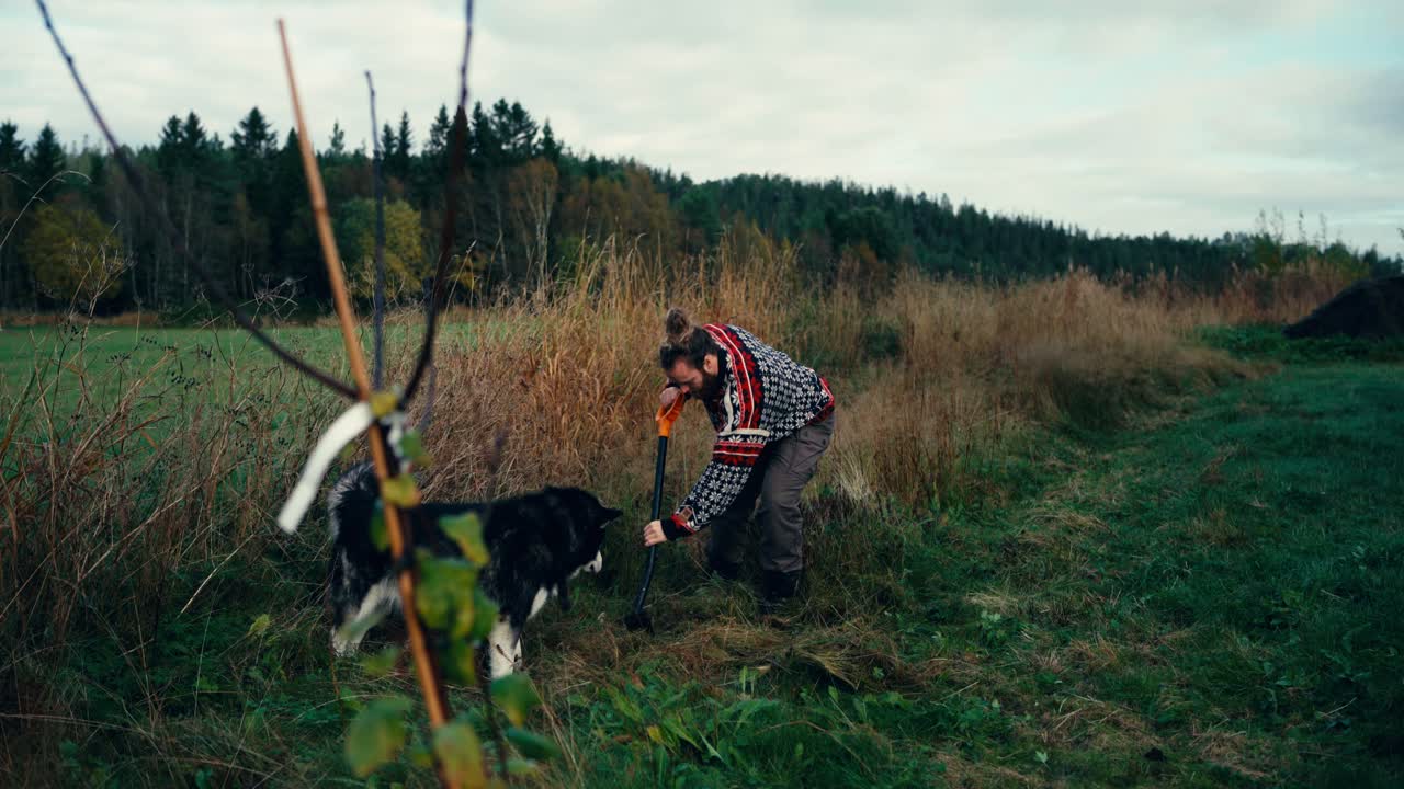 알래스카 말라무트 개 는 노르웨이 의  ⁇  에서 땅 을 파는 사람 을 지켜보고 있다
