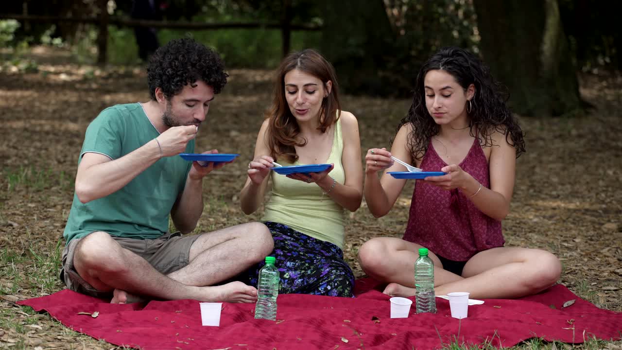 Picnic at the park-laughter, joy, happiness,nature,food