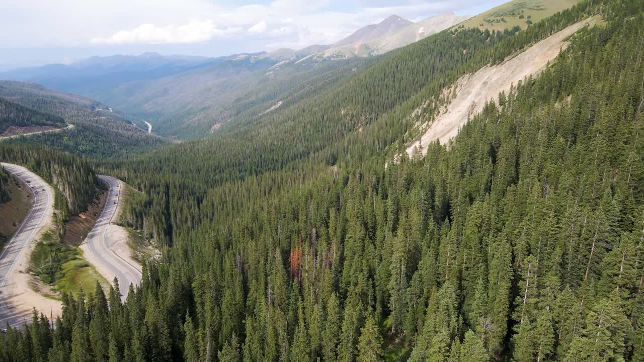 Scenic Road and Trees in the Rocky Mountains in Colorado (USA) | Aerial Flyover Panning Up | Summer 2021