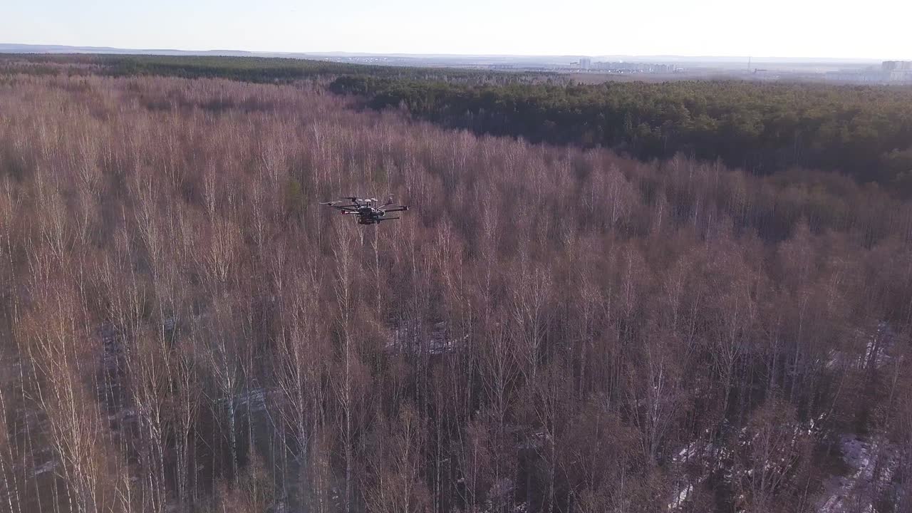 dron volando sobre un bosque de invierno