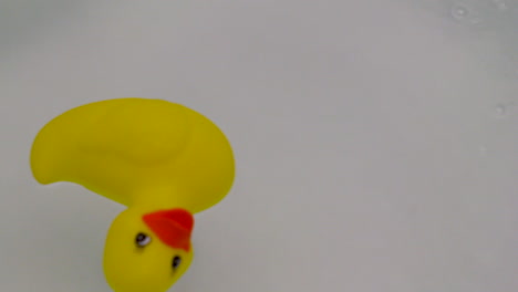 rubber ducky floating around a bath tub