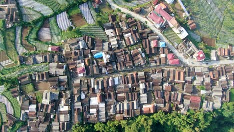 Aerial-top-down-on-remote-Wonolelo-village-surrounded-by-green-plantations,-Indonesia