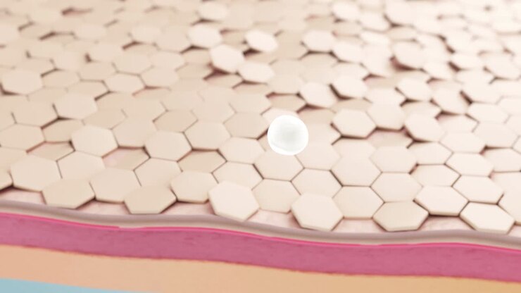 The serum penetrates the skin with wrinkles and rebuilds it.