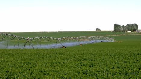 circle pivot irrigation