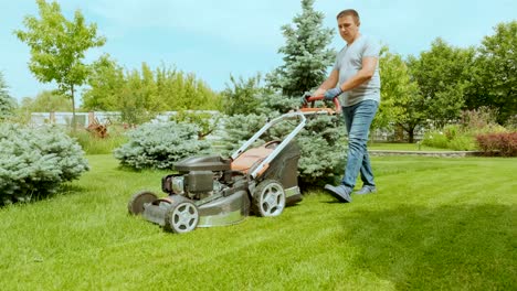 lawn mower cutting the grass. gardening activity. cutting grass with petrol driven lawn mower in sunny garden. gardener working with  mower machine in the garden. lawn mower cutting green grass