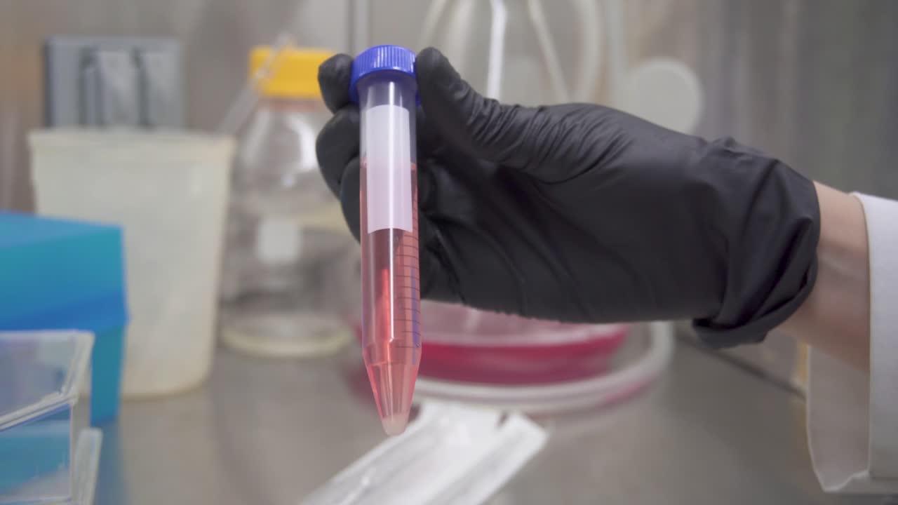 mirando un tubo de ensayo lleno de medios