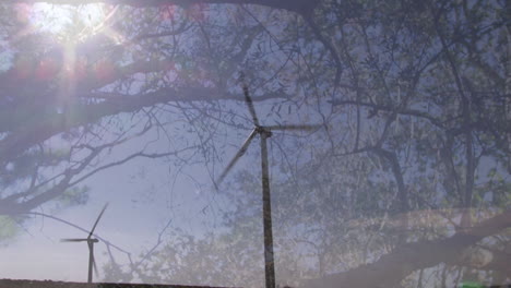 medio ambiente y bienestar