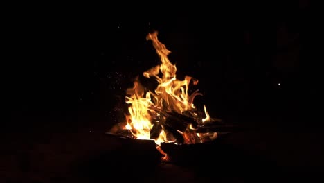 camp fire burns wood, night shot in slow motion