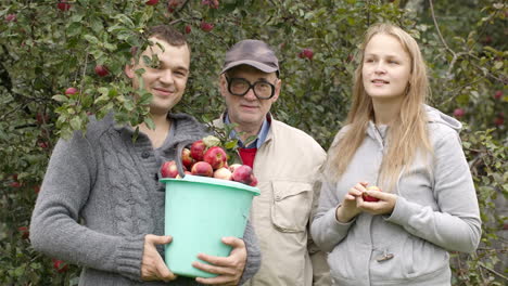 autumn harvesting