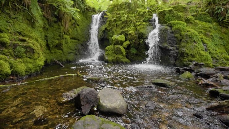 Double Waterfall in Lush Forest