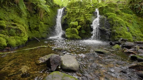 double waterfall in lush forest