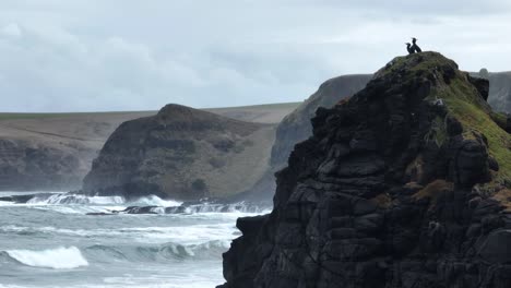 Three-birds-sitting-atop-a-cliff-with-waves-crashing-in-background