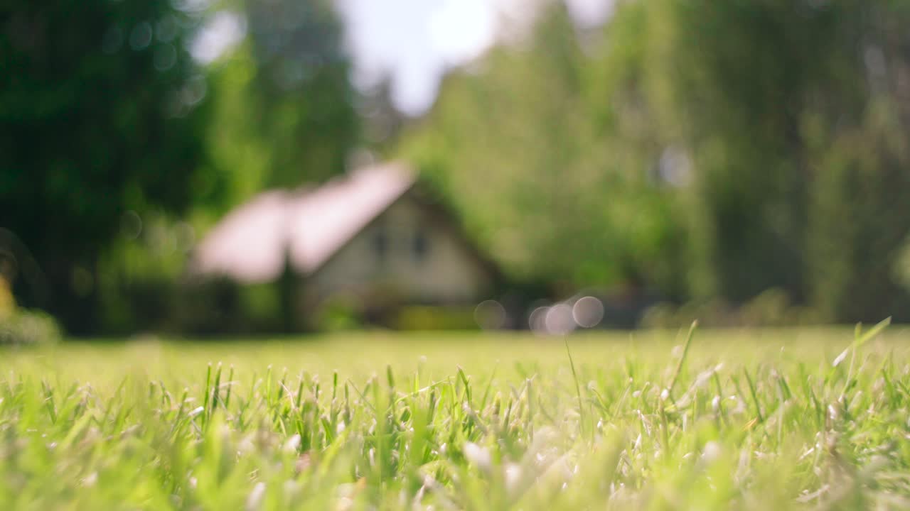 vista cercana del rocío de la mañana sobre la hierba verde con un fondo de granja