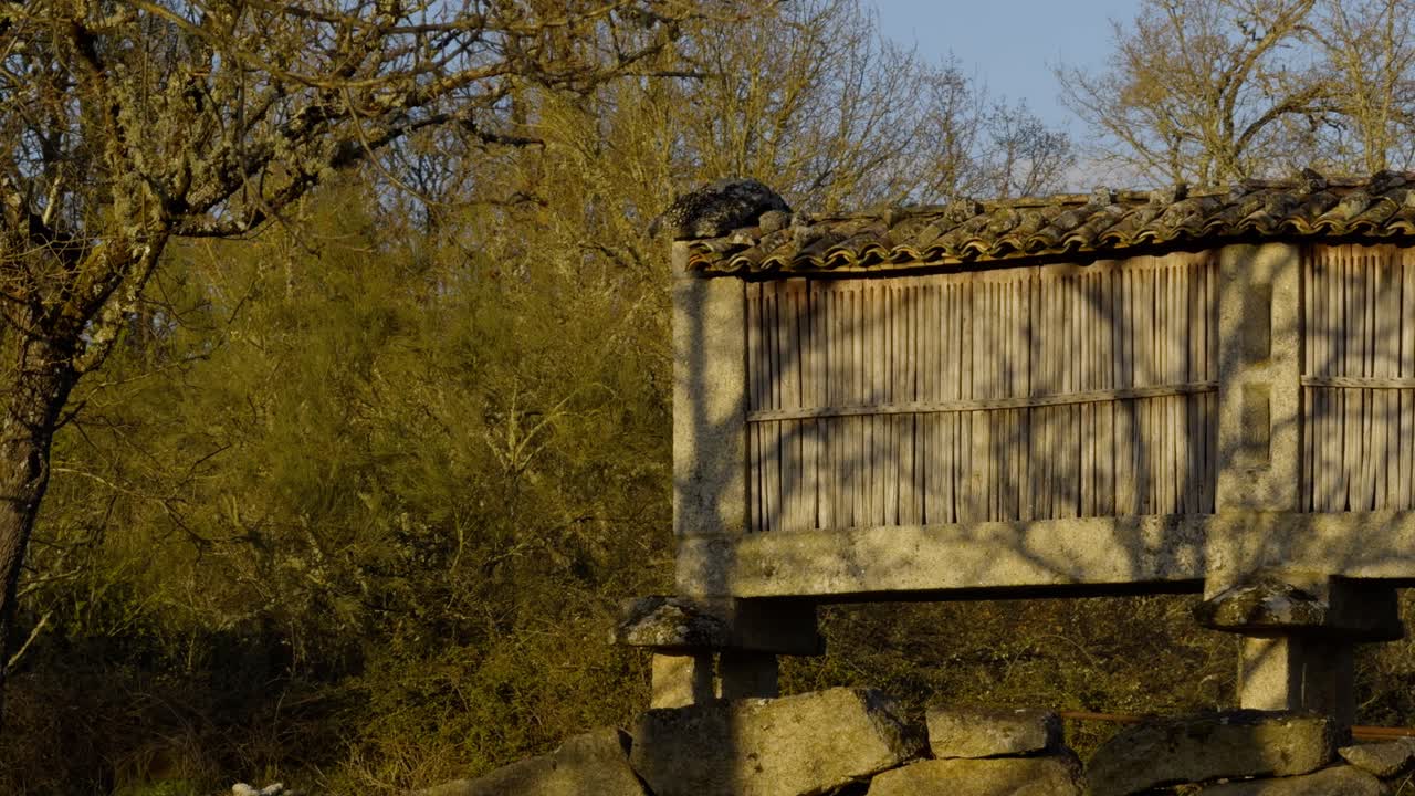 viejo granero tradicional de galiza rodeado de árboles en españa