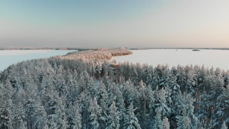 Aéreo,-ángulo-Bajo,-Disparo-De-Drone,-Hacia-Una-Torre-De-Observación,-En-Medio-De-Un-Bosque-De-Pinos-Nevado,-En-La-Costa-Del-Lago-Saimaa,-En-Una-Tarde-Soleada-De-Invierno,-En-Vuoniemi,-Karelia-Del-Norte,-Finlandia