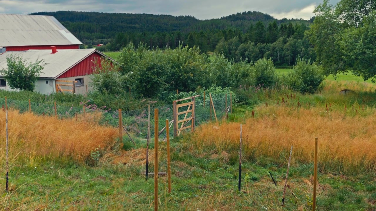 En rød låve står ved siden av en inngjerdet hage i et grønt landlig område med åser og trær i bakgrunnen – håndholdt opptak