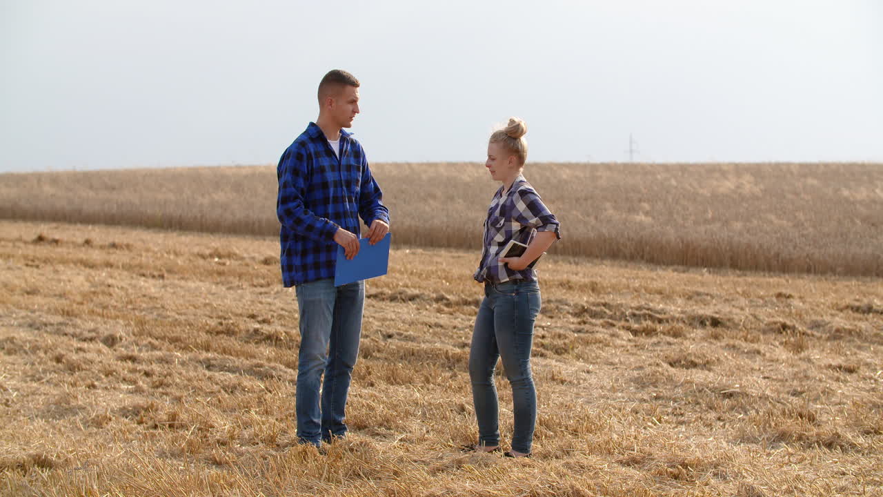 밀밭에서 논의하는 젊은 농부들 30