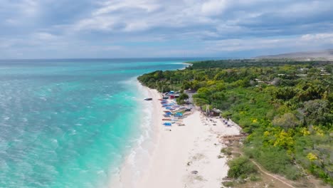 Scenic-tropical-coast-with-lush-vegetation-and-turquoise-sea,-Caribbean