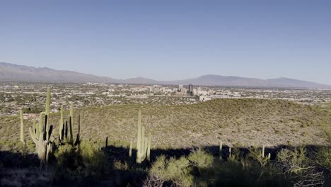 pan tucson arizona in distance with cactus in foreground