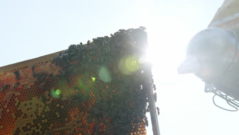 bee smoker releasing smoke to a movable hive frame, close up shot