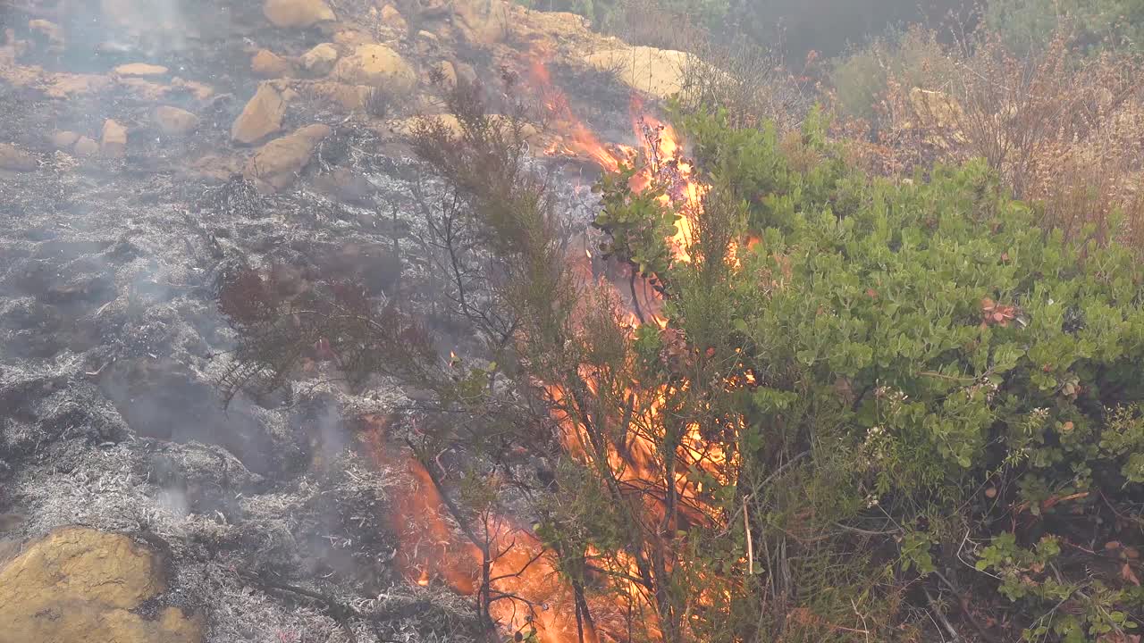 primer plano de un incendio forestal genérico o un incendio forestal que quema y consume vegetación en las colinas del sur de california