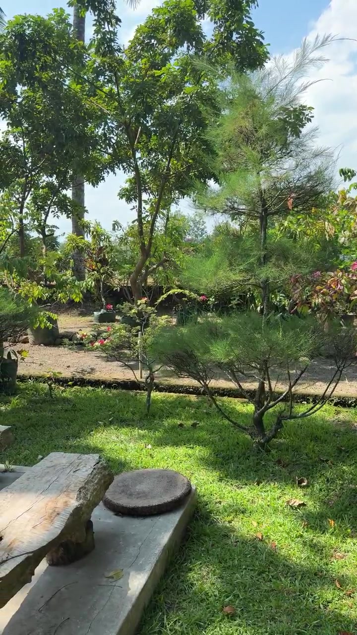Entorno de jardín tranquilo con vegetación exuberante y banco de madera