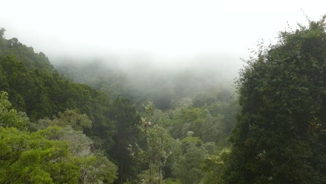 Inundaciones-De-Niebla-A-Través-Del-Valle-Montañoso-De-La-Selva-Tropical-De-Costa-Rica
