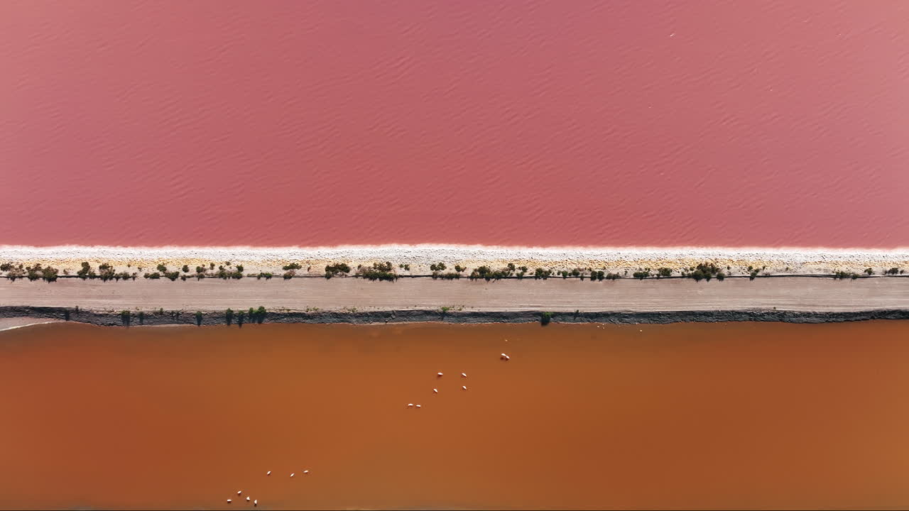 aigues-mortes의 장미색 소금 의 숨막히는 공중 사진입니다.