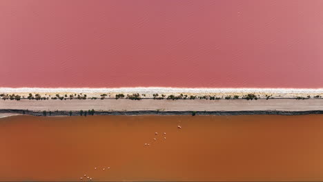 Eine-Atemberaubende-Luftaufnahme-Der-Rosafarbenen-Salzfelder-Von-Aigues-Mortes.