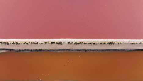 a breathtaking aerial of the roseate salt fields of aigues-mortes.