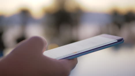 Smartphone-In-Einer-Hand-Und-Eine-Verschwommene-Südliche-Landschaft