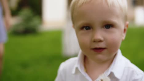 portrait of a beautiful blonde boy blowing dandelion. facing to the camera. green grass blurred bbackground. motion