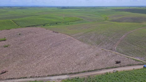 Aerial-flyover-agricultural-sugar-cane-fields-on-Dominican-Republic-Island-in-summer