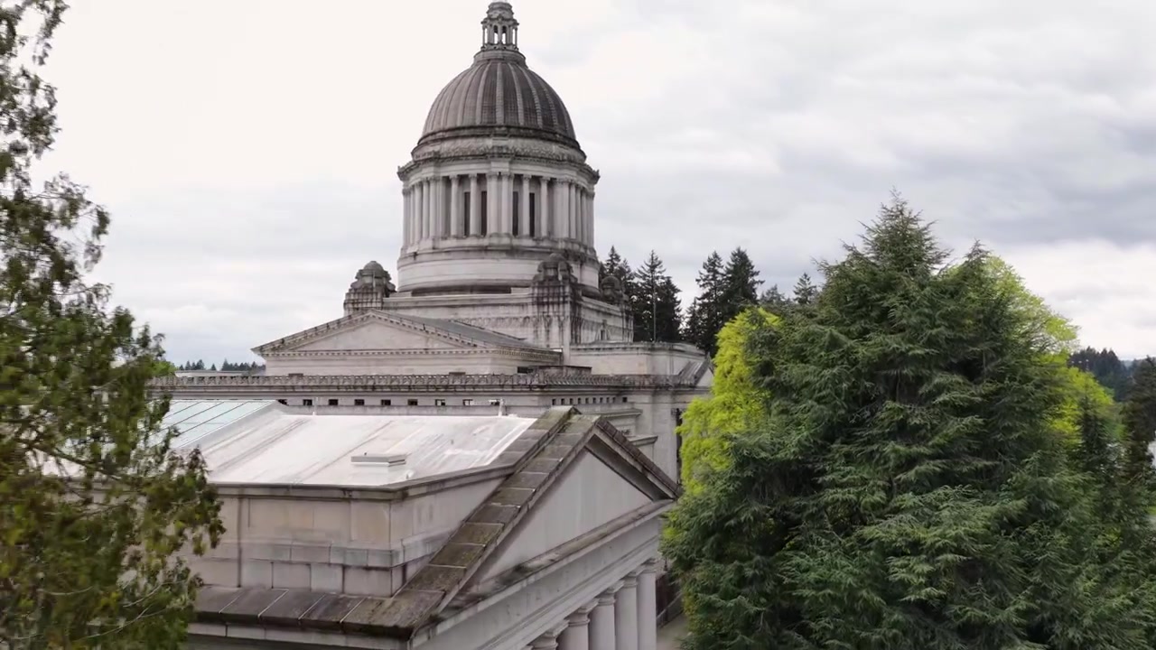 Edificio del Campidoglio dello Stato di Washington a Olympia con una grande cupola in pietra e architettura neoclassica, parzialmente incorniciato da lussureggianti alberi sempreverdi sotto un cielo coperto durante il giorno negli USA. Rivelazione aerea.