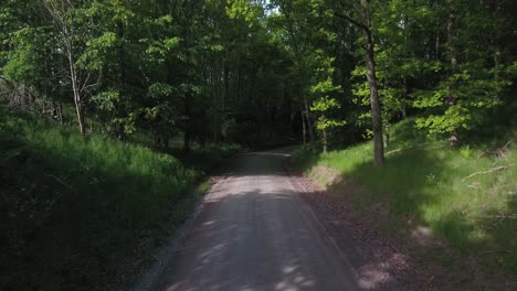 volando hacia el bosque oscuro en verano, al sur de suecia skåne, österlen, antena baja hacia adelante lenta