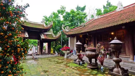 serene temple courtyard with lush greenery