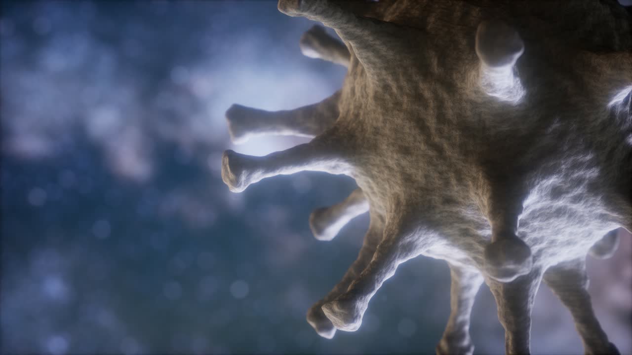 신종 코로나바이러스 covid-2019의 가상 표현 매크로 모델