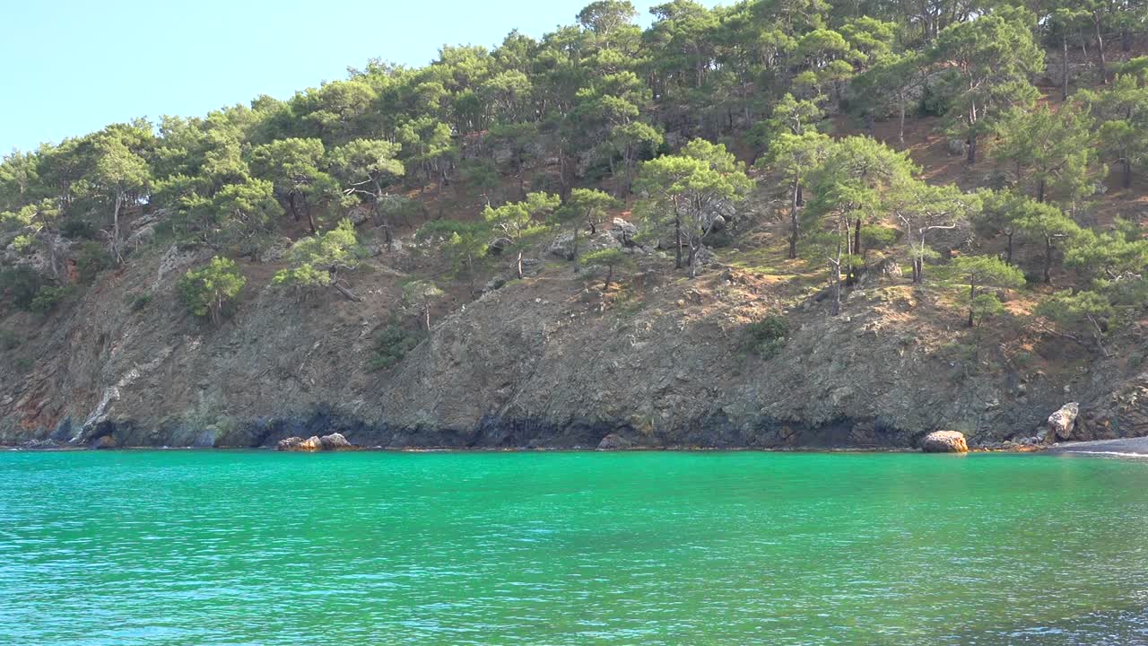 Una baia marina turchese brillante e incontaminata ai margini della foresta