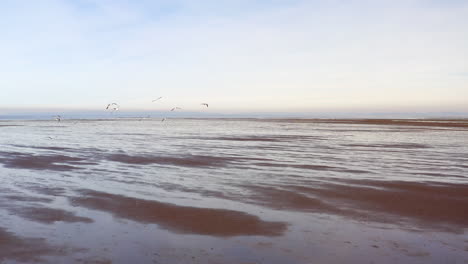 Low-tide-of-the-Pacific-Ocean-in-south-of-Chile,-in-the-highway-south-road