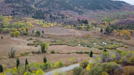 Sumpfland-Im-Immergrünen-Espenwald-Im-Snow-Basin-Utah-4k---Dolly-Neigung-Aus-Der-Luft