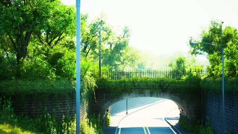 arch-bridge-with-living-bush-branches-in-park